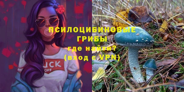 трава Алексеевка