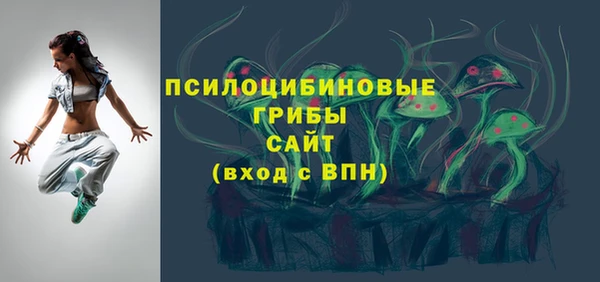 МДПВ Алексин